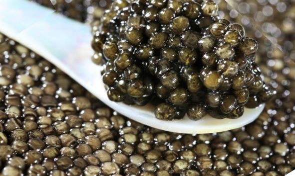 Comment choisir son caviar ? Le guide essentiel