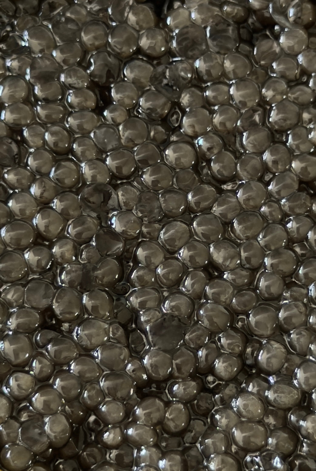 CAVIAR BAERRI SIGNATURE– Caviar Odyssée Paris (Copie)
