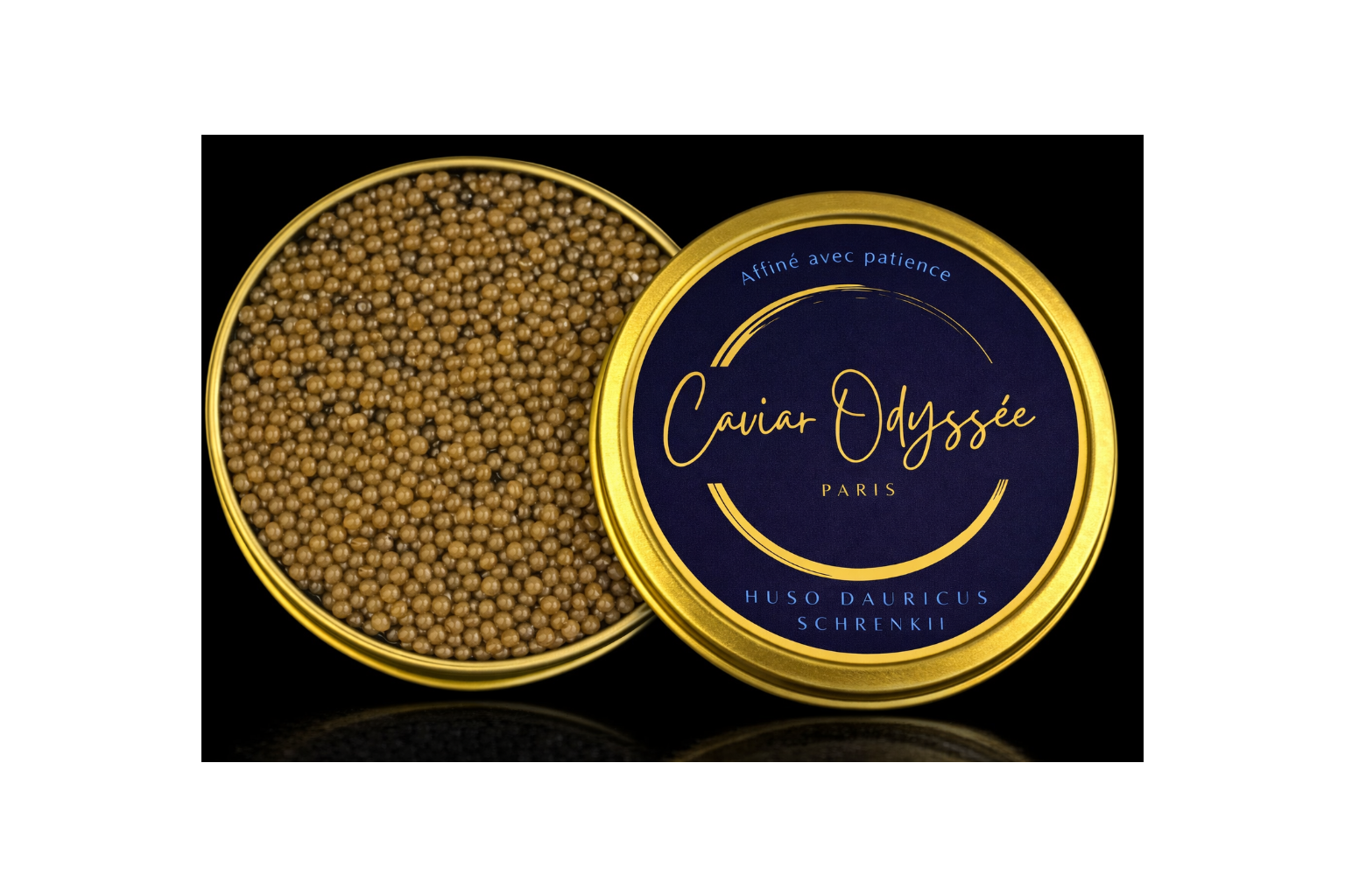 HUSO DAURICUS & SCHRENKII